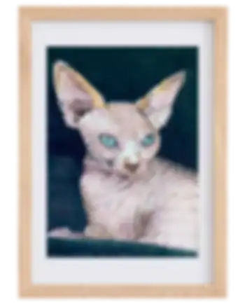 Pastel on paper. 
This lovely cat I painted for a friend of mine. Her ears are to fall in love with.